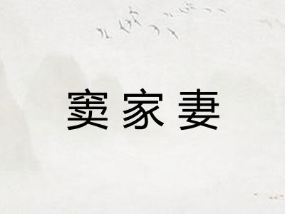 窦家妻