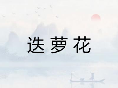 迭萝花