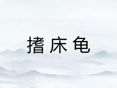 搘床龟
