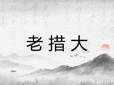 老措大