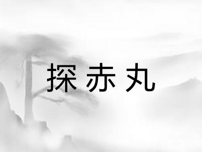 探赤丸