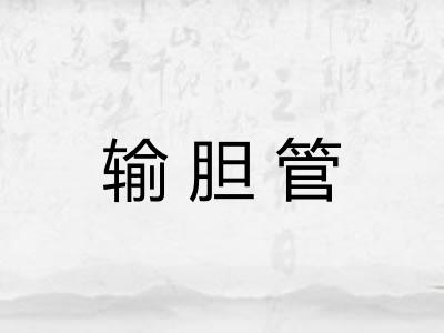 输胆管