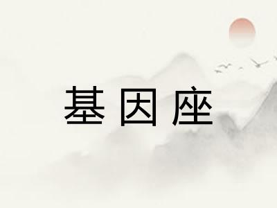基因座