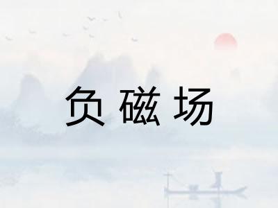 负磁场