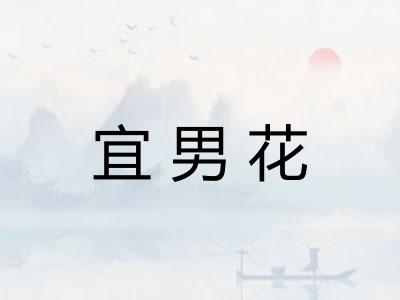 宜男花