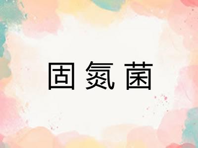 固氮菌