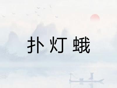 扑灯蛾