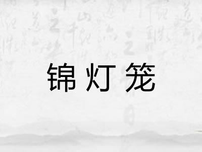锦灯笼
