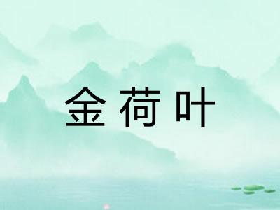 金荷叶