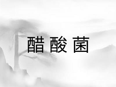 醋酸菌