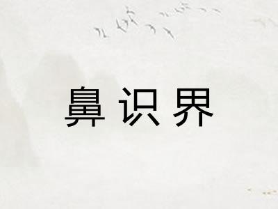 鼻识界