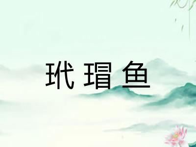 玳瑁鱼