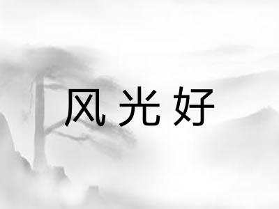 风光好