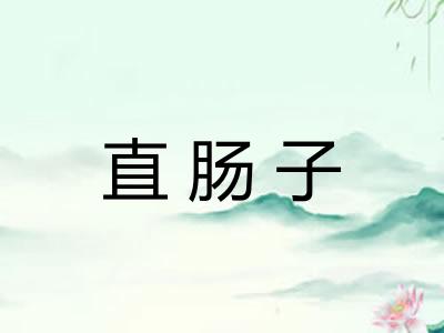 直肠子
