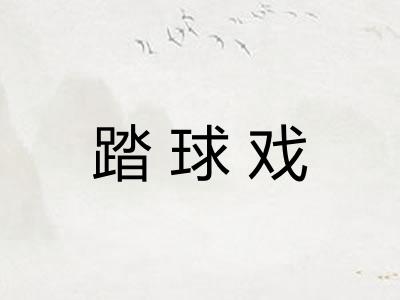 踏球戏 踏球戏