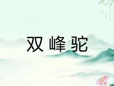双峰驼