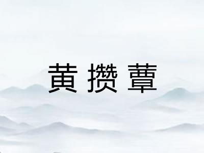 黄攒蕈