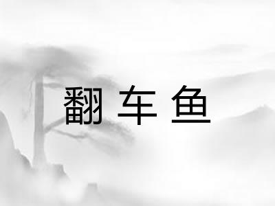 翻车鱼