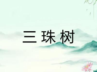 三珠树
