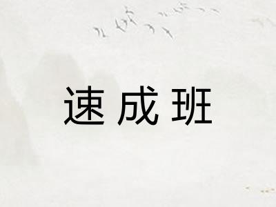 速成班