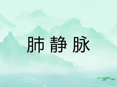 肺静脉