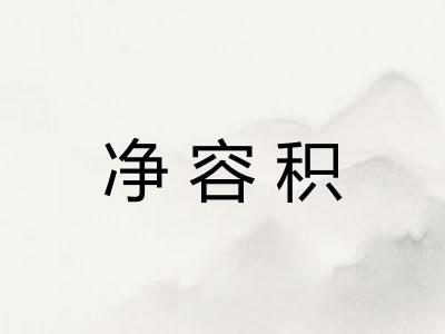净容积