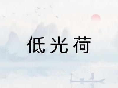 低光荷