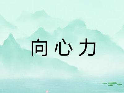 向心力