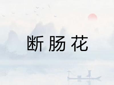 断肠花