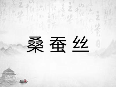桑蚕丝