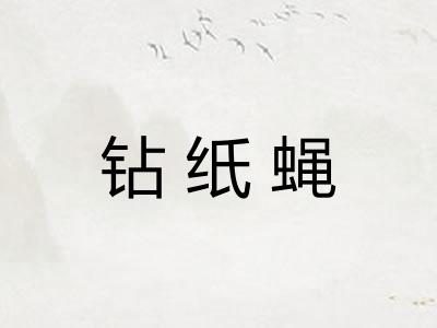 钻纸蝇