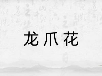 龙爪花