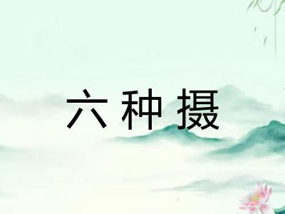 六种摄