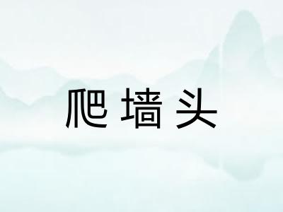 爬墙头
