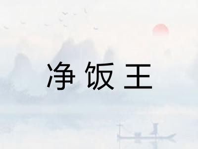 净饭王