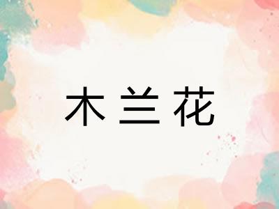 木兰花 木兰花