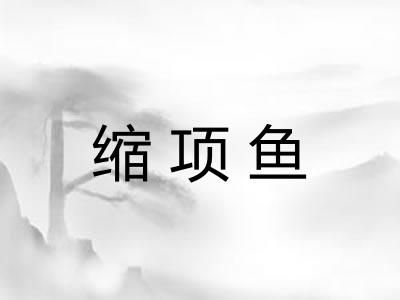 缩项鱼
