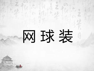 网球装