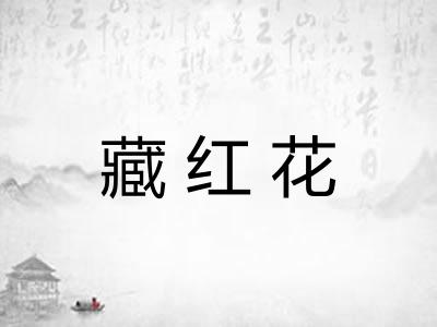 藏红花 藏红花