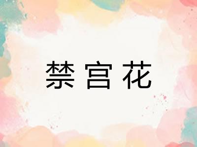 禁宫花