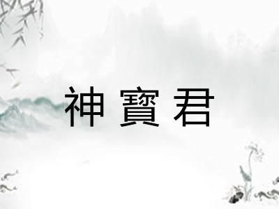 神寳君
