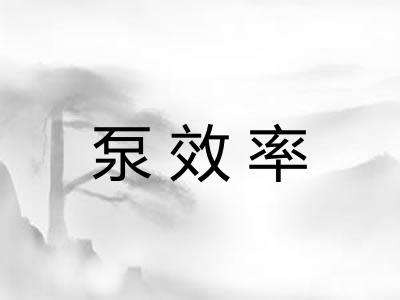 泵效率