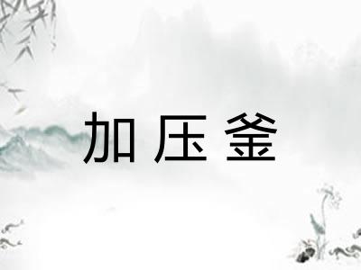 加压釜