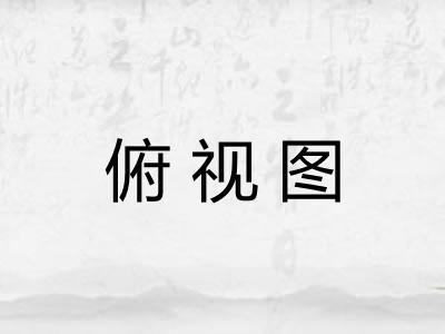 俯视图