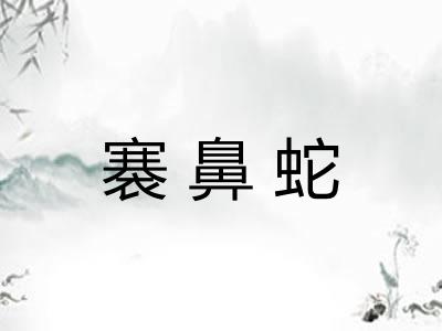 褰鼻蛇