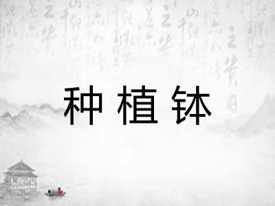 种植钵