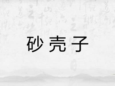 砂壳子