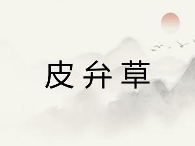皮弁草