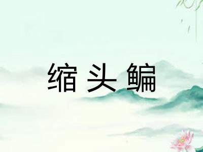 缩头鳊