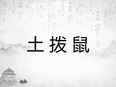 土拨鼠